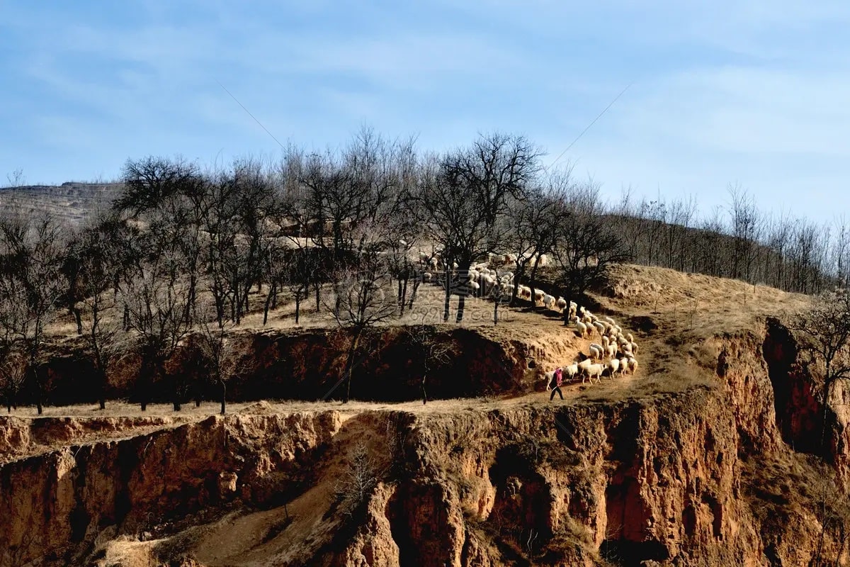 gansu qingyang_副本-min.jpg